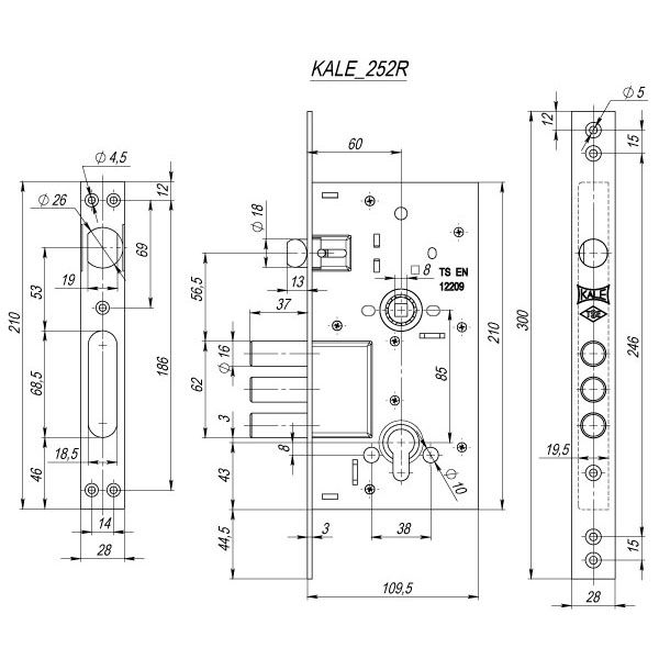 252R.jpg