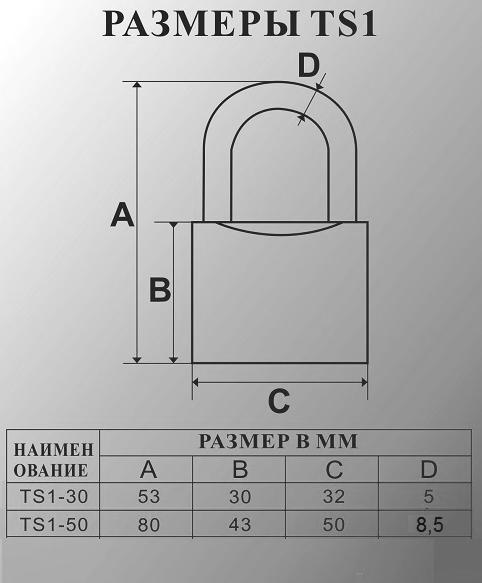 MSM TS1-AK.jpg