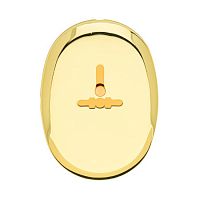 Накладка декоративная Apecs DP-11-S-G-shutter (золото)