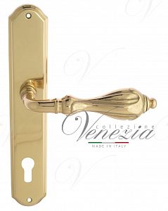 Дверная ручка на планке Venezia Anafesto CYL под цилиндр PL02 (полир. латунь); ?>