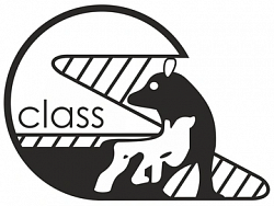 Класс (Class)