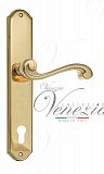 Дверная ручка на планке Venezia Vivaldi CYL под цилиндр PL02 (полир. латунь)
