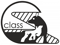 Класс (Class)