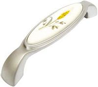 Мебельная ручка ОФК мод. 750 (128мм)